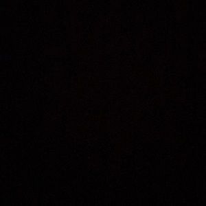 Meet your Posher, Sadie